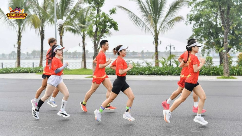 Hướng dẫn đăng ký, chuẩn bị và tham gia giải marathon lớn