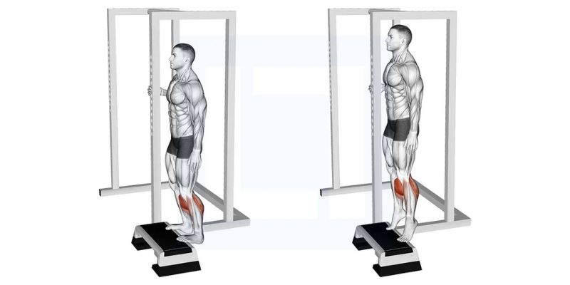 Calf Raise