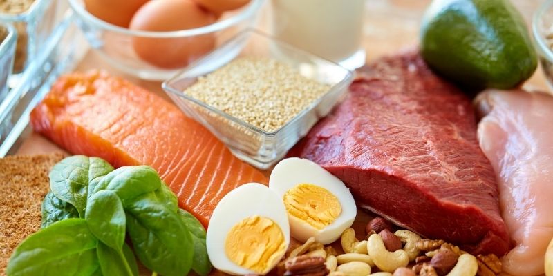 Protein