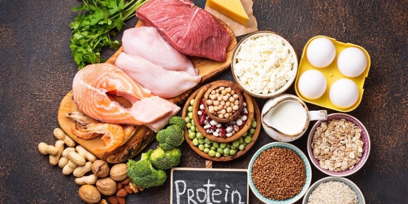 Protein